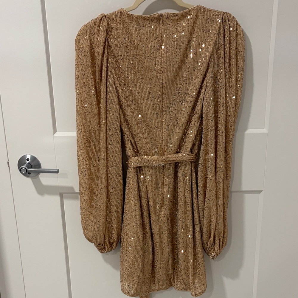 Lulu's Champagne Sequin Dress - Brand New! - Picture 6 of 6